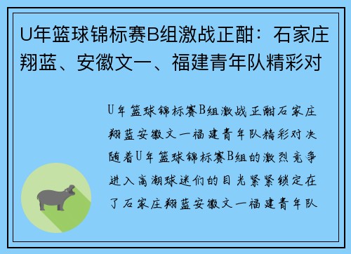 U年篮球锦标赛B组激战正酣：石家庄翔蓝、安徽文一、福建青年队精彩对决