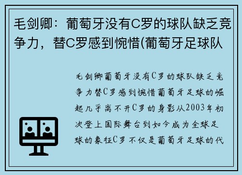 毛剑卿：葡萄牙没有C罗的球队缺乏竞争力，替C罗感到惋惜(葡萄牙足球队队长c罗)