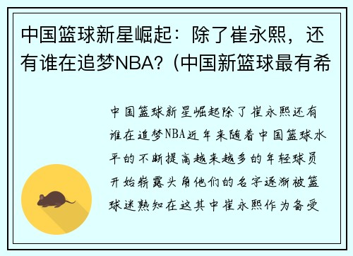 中国篮球新星崛起：除了崔永熙，还有谁在追梦NBA？(中国新篮球最有希望的球员)